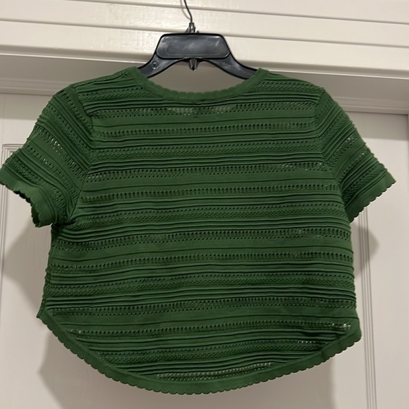 TORN BY RONNY KOBO // lena green textured short sleeved crop top - Picture 7 of 7